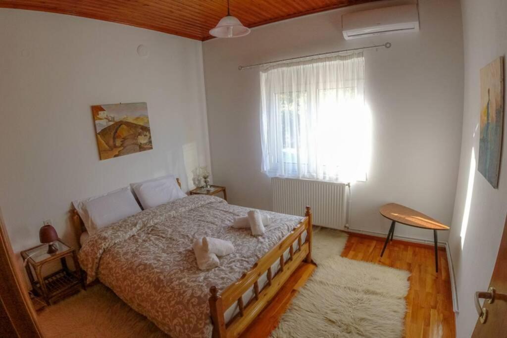 Breathtaking Lake View Cottage With A Fireplace Next To Ioannina City! מראה חיצוני תמונה